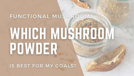 Which mushroom powder is best for my goals?
