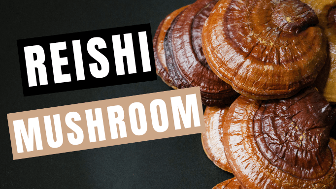 Reishi Mushroom: About, Benefits & How to Take (for best results) | Mycology Nutrition