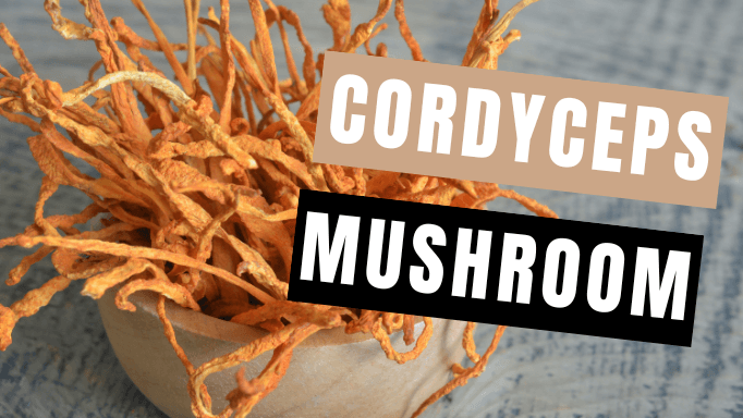 Cordyceps Mushroom: About, Benefits & How to Take (for Best Results) | Mycology Nutrition