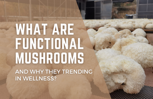 What Are Functional Mushrooms and Why Are They Trending in Wellness?