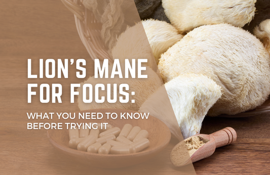 Lion’s Mane for Focus: What You Need to Know Before Trying It