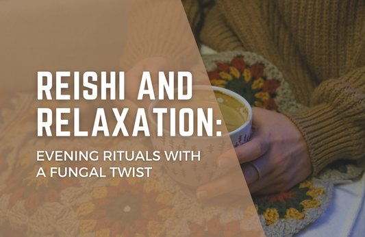 Reishi and Relaxation: Evening Rituals with a Fungal Twist