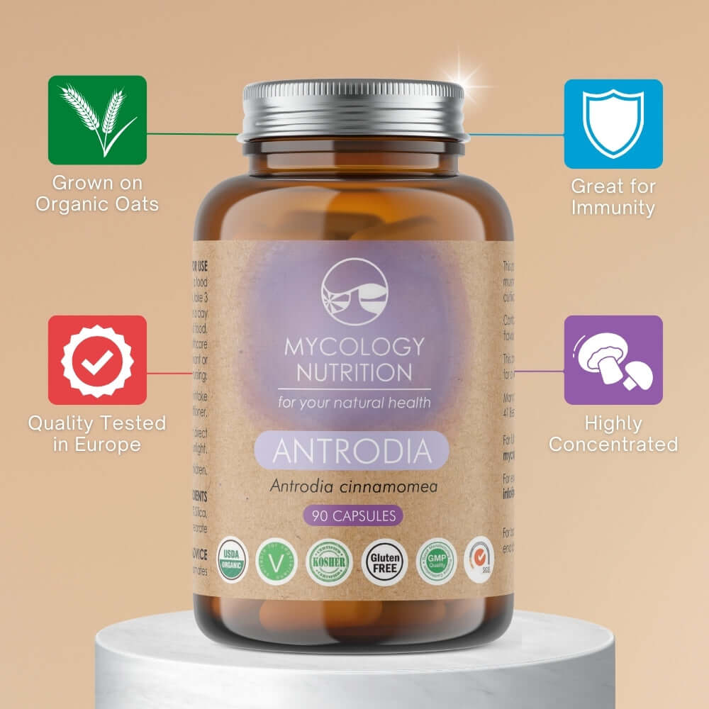 Antrodia Mushroom supplement - great for immunity, highly concentrated