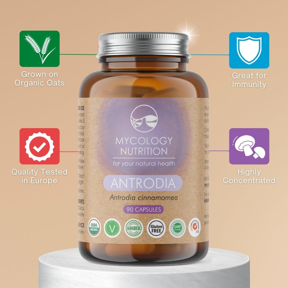Antrodia Mushroom Capsules | Niu Zhang Zhi | Liver Support | Boost Immunity | Anti-Inflammatory | Highly Concentrated Supplement | 90 Capsules