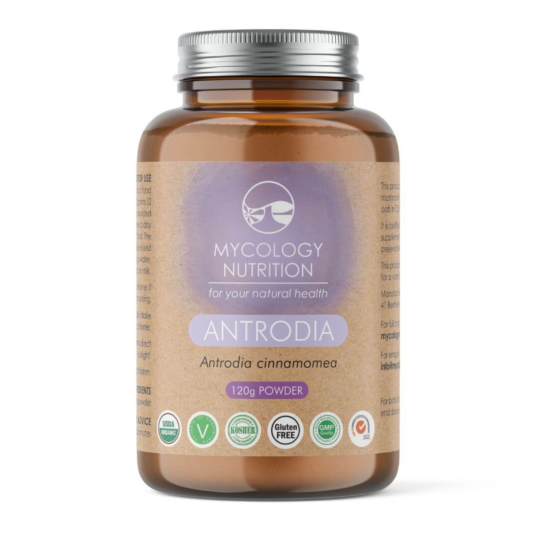 Antrodia Mushroom Powder - natural food supplement