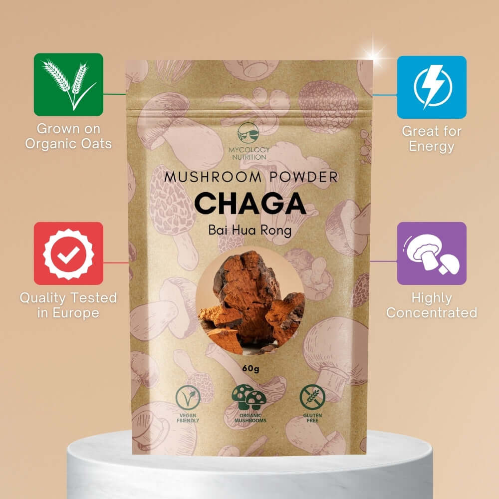 Chaga Mushroom Powder - potentially great for energy; quality tested in Europe
