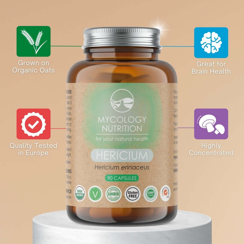 Dried Lion's Mane Mushroom (Hericium Hou Tou Gu) – a highly valued functional mushroom