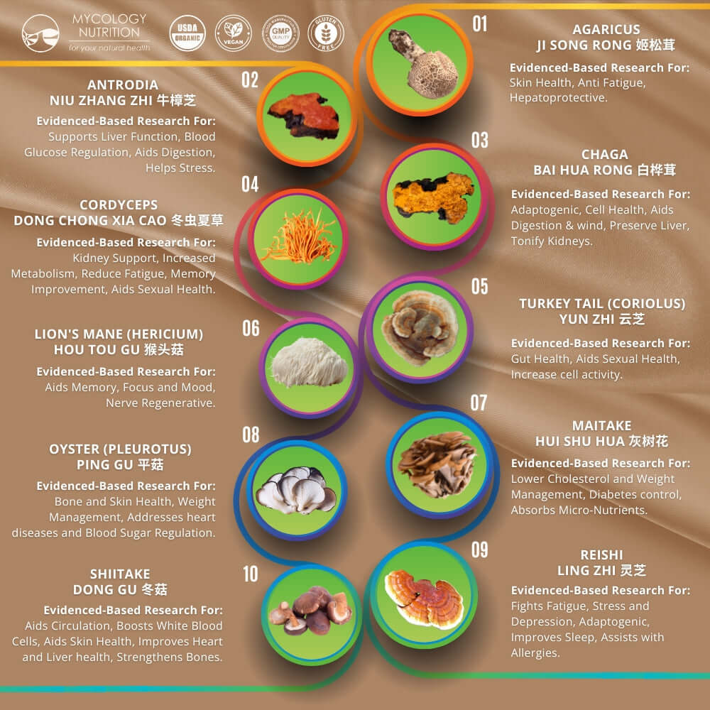 Infographic displaying ten types of mushroom, each with potential benefits such as immune support, energy boost, and stress relief.