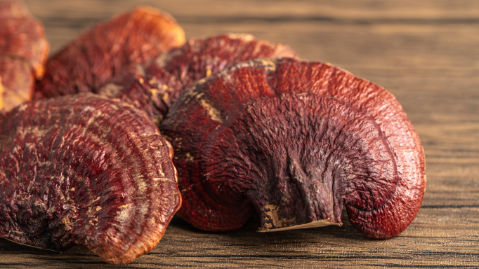 Dried Reishi mushrooms with a reddish-brown, woody texture.