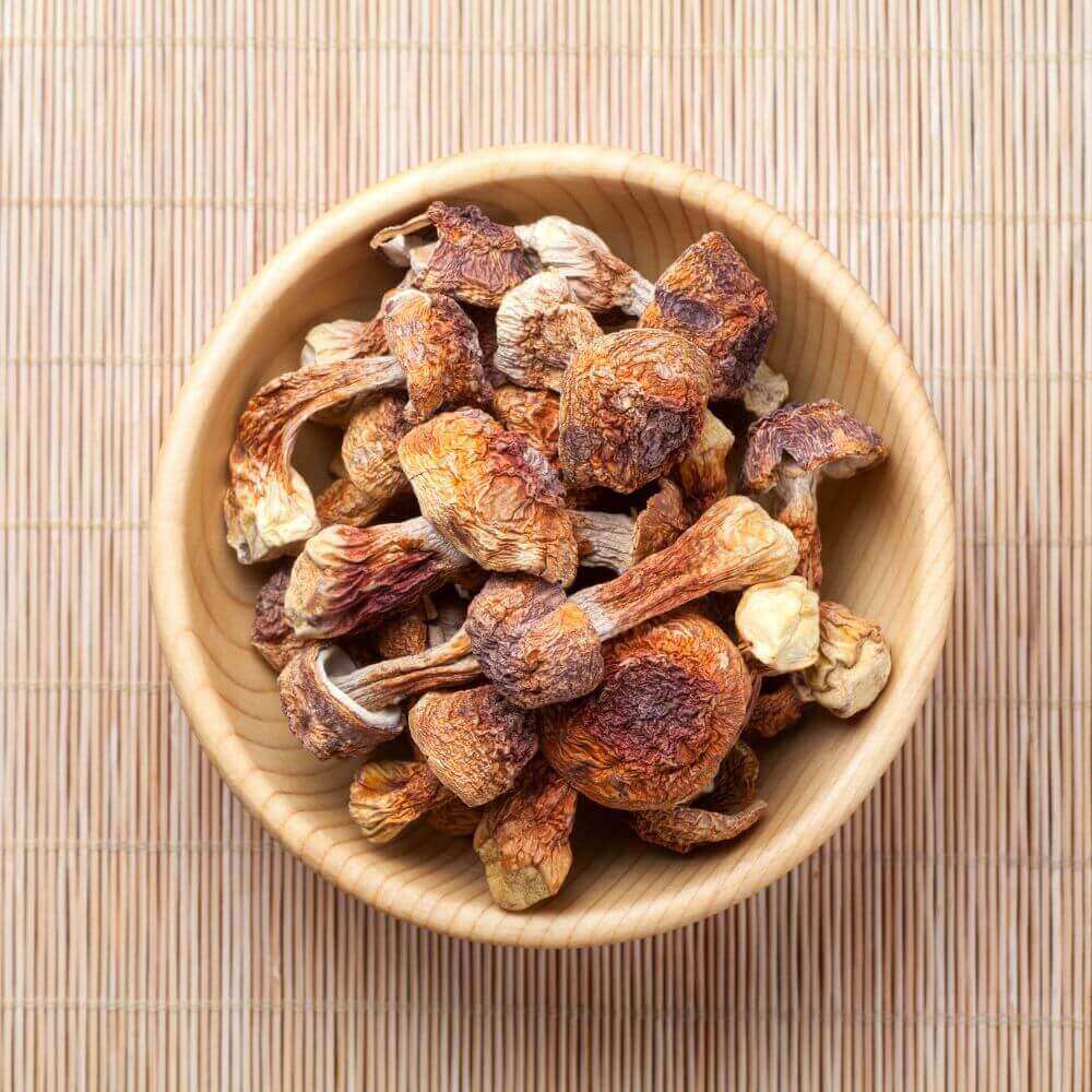 Dried Agaricus Mushroom (Ji Song Rong) | 50g