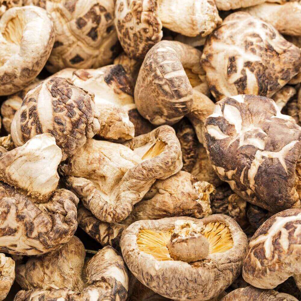 Dried Shiitake mushroom (Xiang Gu) | 50g