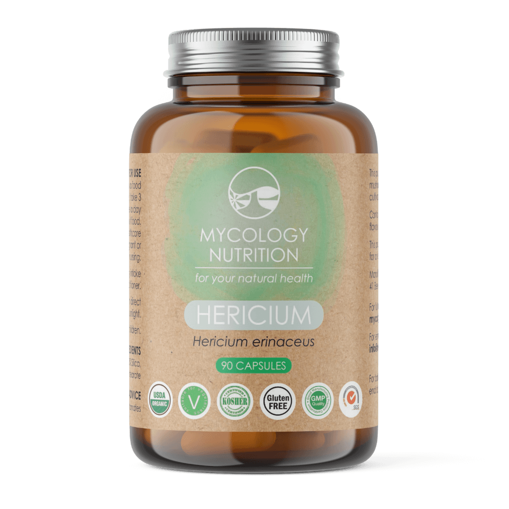 Dried Lion's Mane Mushroom (Hericium Hou Tou Gu) – a highly valued functional mushroom