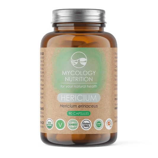 Dried Lion's Mane Mushroom (Hericium Hou Tou Gu) – a highly valued functional mushroom