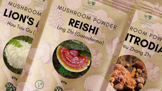 Mycology Nutrition - Reishi, Lion's Mane and Antrodia Mushroom Powders