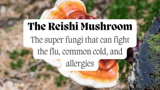 Cold, Flu and Allergies - Mycology Nutrition