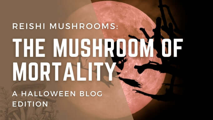 Reishi Mushrooms: The Mushroom of Mortality - A Halloween blog