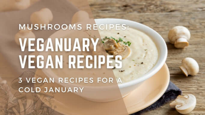 Mushroom Recipes: Veganuary Vegan Recipes - 3 Vegan Recipes for a Cold January