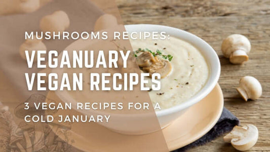 Mushroom Recipes: Veganuary Vegan Recipes - 3 Vegan Recipes for a Cold January