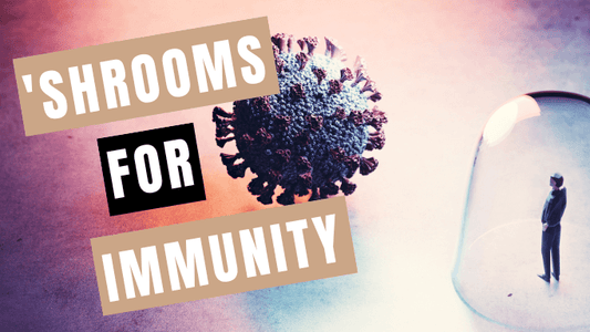'Shrooms for Immunity - Mycology Nutrition