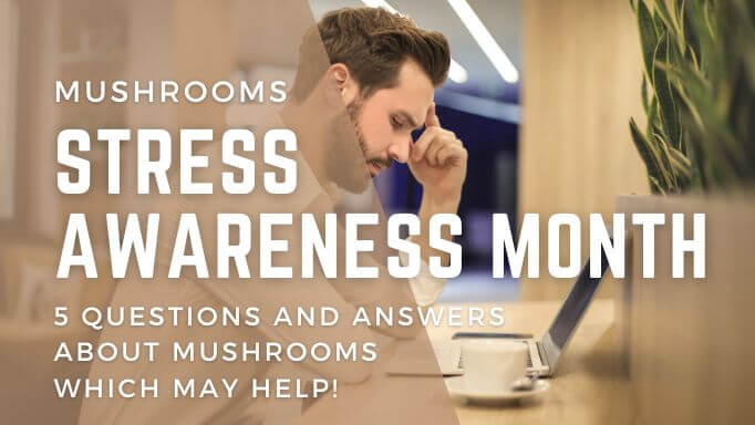Stress Awareness Month - 5 questions and answers about mushrooms which may help!