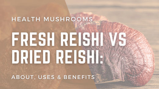 Fresh Reishi vs Dried Reishi