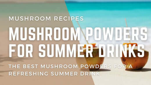 Mushroom powders for summer drinks - the best mushroom powders for a refreshing drink