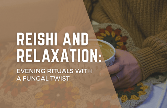 Reishi and Relaxation: Evening Rituals with a Fungal Twist
