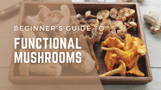 Beginner’s Guide to Functional Mushrooms
