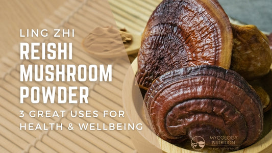 Reishi Mushroom Powder: 3 Great Uses for Health & Wellbeing