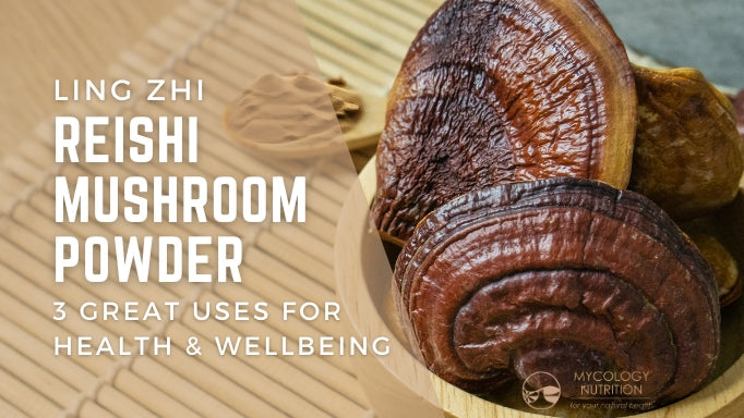 Reishi Mushroom Powder - 3 great uses