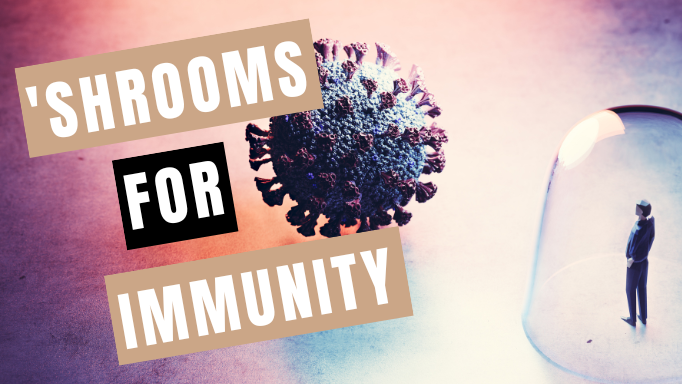 'Shrooms for Immunity - Mycology Nutrition