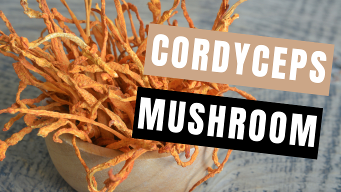 Cordyceps Mushroom: About, Benefits & How to Take (for Best Results) | Mycology Nutrition