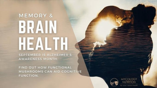 Functional Mushrooms: For brain function and memory loss