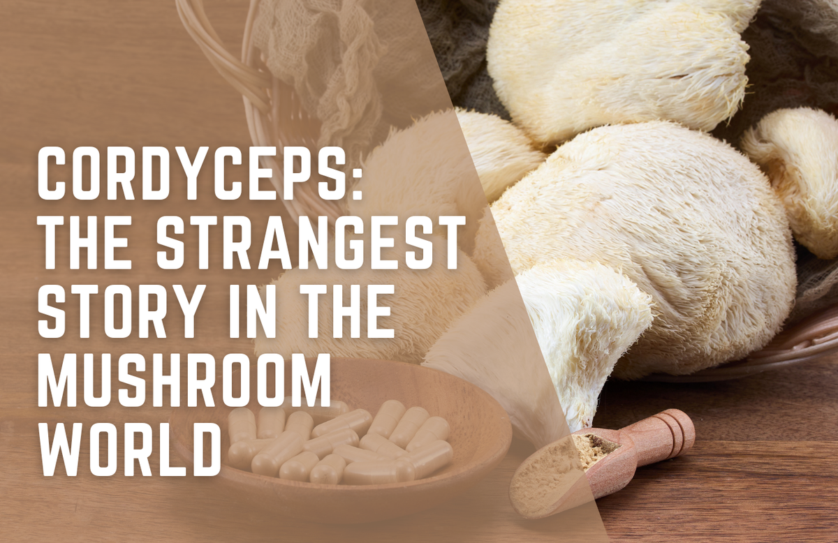 Cordyceps: Winter Worm, Summer Grass, and What's Really in the Bottle