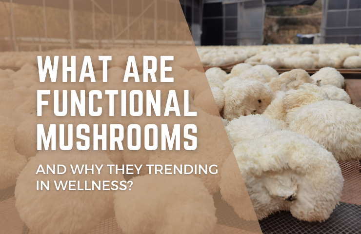 What Are Functional Mushrooms and Why Are They Trending in Wellness?