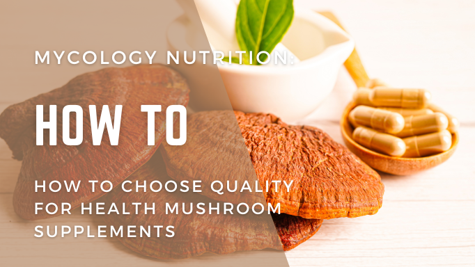 Mycology Nutrition: How to Choose Quality For Health Mushroom Suppleme