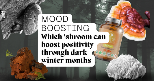 Mood boosting: Which ‘shroom can promote positivity through dark winter months?