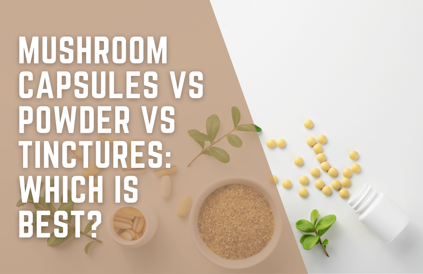 Mushroom Capsules vs Powder vs Tinctures: Which Is Best?