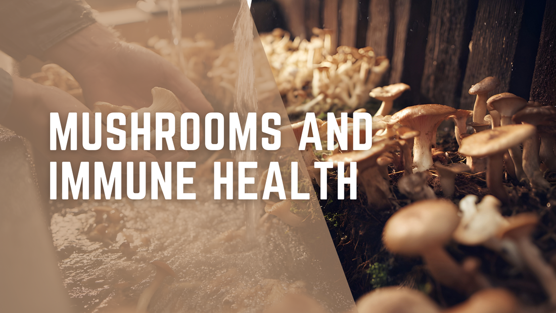 Mushrooms and Immune Health