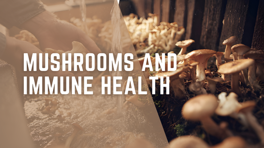 Mushrooms and Immune Health
