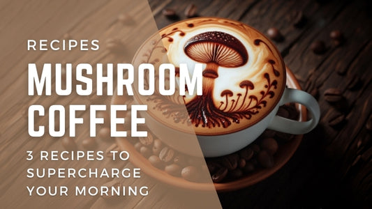 Mushroom Coffee: 3 Recipes to Supercharge Your Morning