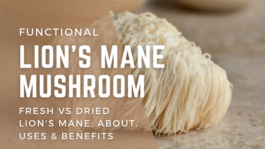 Fresh Lion's Mane vs Dried Lion's Mane: About, Uses & Benefits