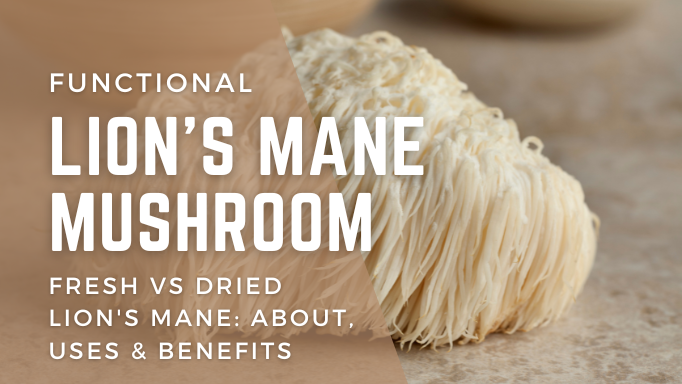 Lion's Mane Mushroom Fresh vs Dried - About, Uses & Benefits