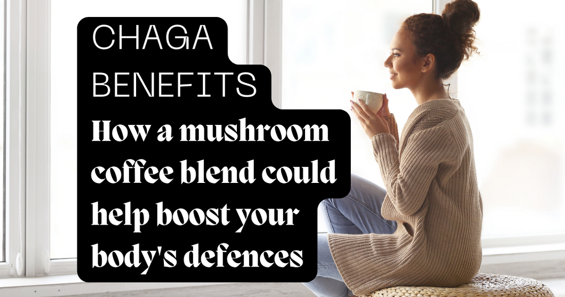 Immune System: How A Chaga Mushroom and Astragalus Coffee Blend Could Boost Your Body’s Defences