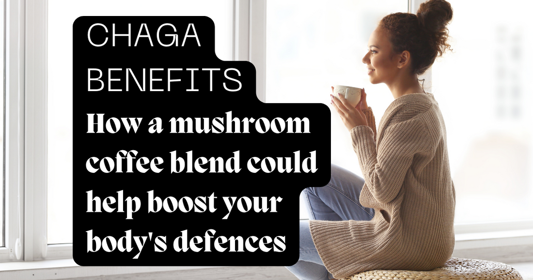 Chaga Benefits - How a mushroom coffee blend could help boost your body's defences