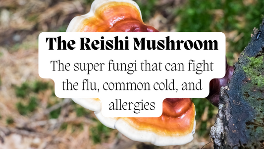 Cold, Flu & Allergies: Which Mushroom is Best & How Should I Take It?