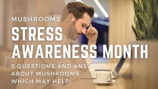 Stress Awareness Month: 5 Questions and Answers about Mushrooms which may help!
