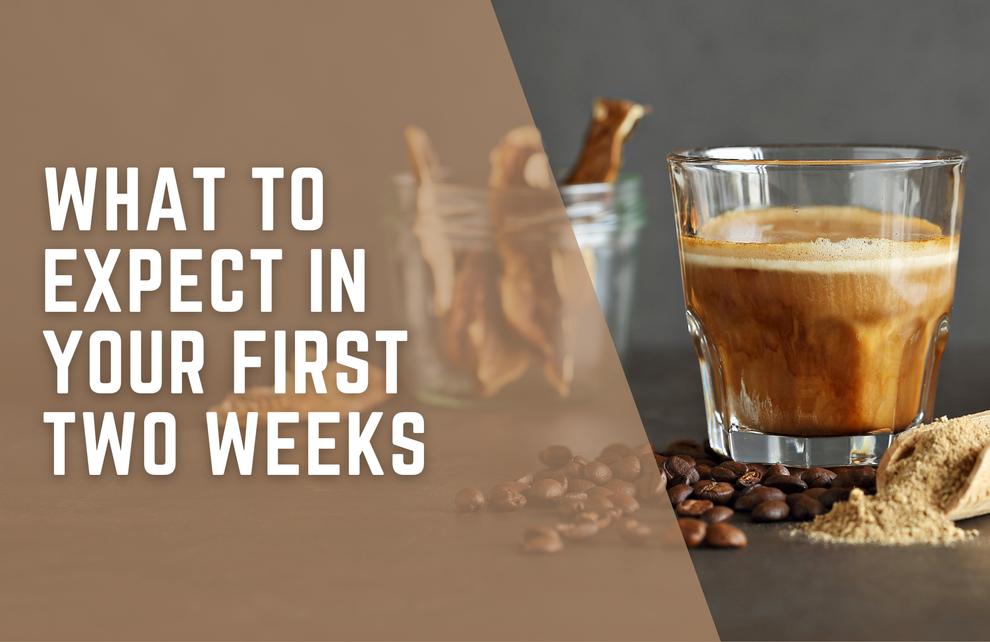 Switching to Mushroom Coffee: What to Expect in 2 Weeks