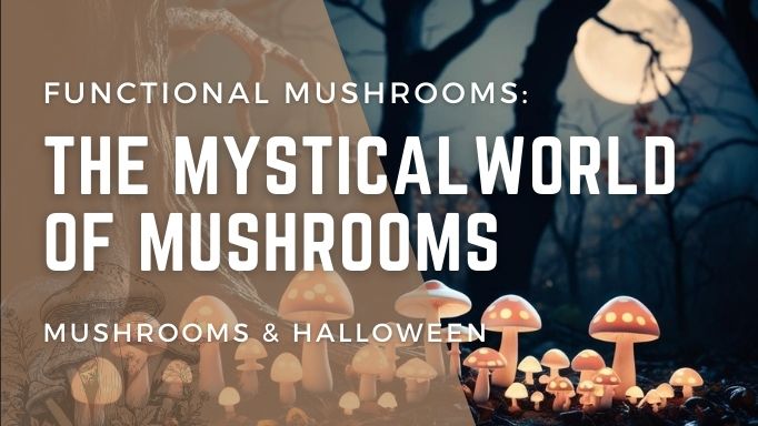 The Mystical World of Mushrooms - Mushrooms and halloween