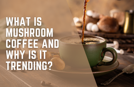 What Is Mushroom Coffee and Why Is It Trending?